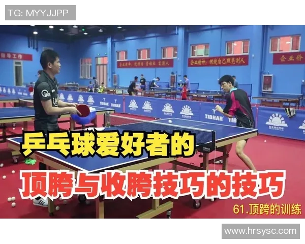 刘丽独家揭秘乒乓球技巧与心得分享助你提升球技的秘诀